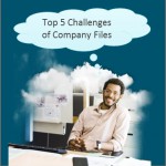Top 5 Company File Challenges for professional services companies